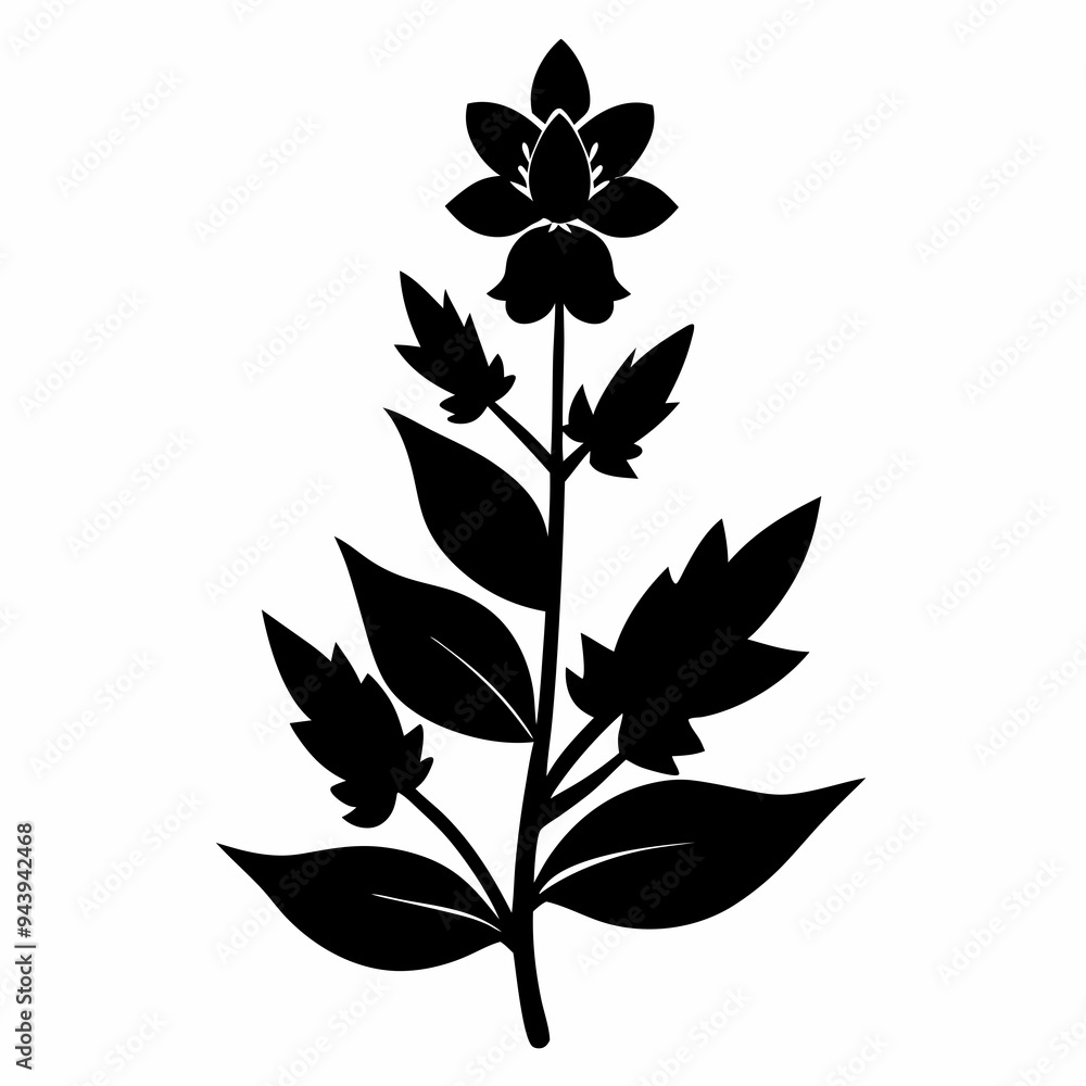Loosestrife Black silhouette Loosestrife Black silhouette
