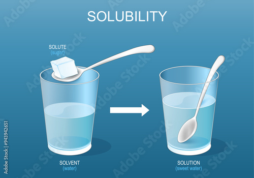 Solubility. Solutions. Experiment with sugar and glass of water.
