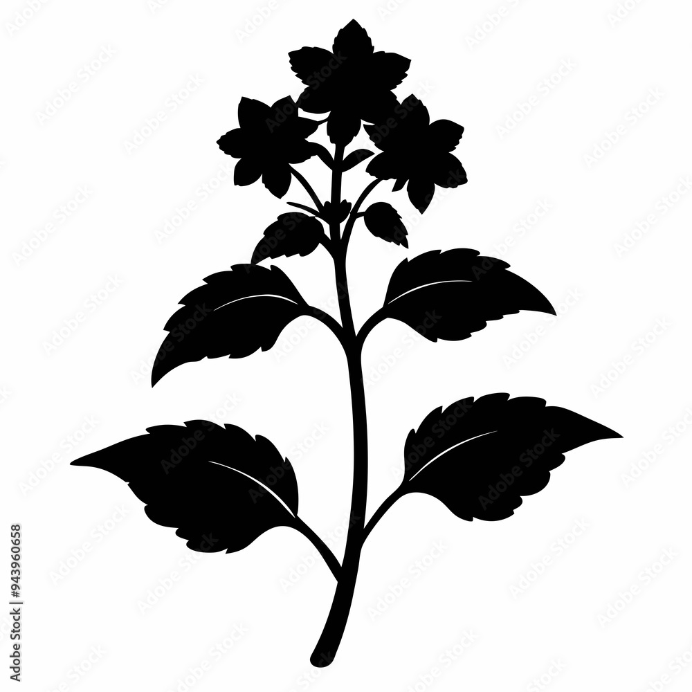Lamium Black silhouette Lamium Black silhouette