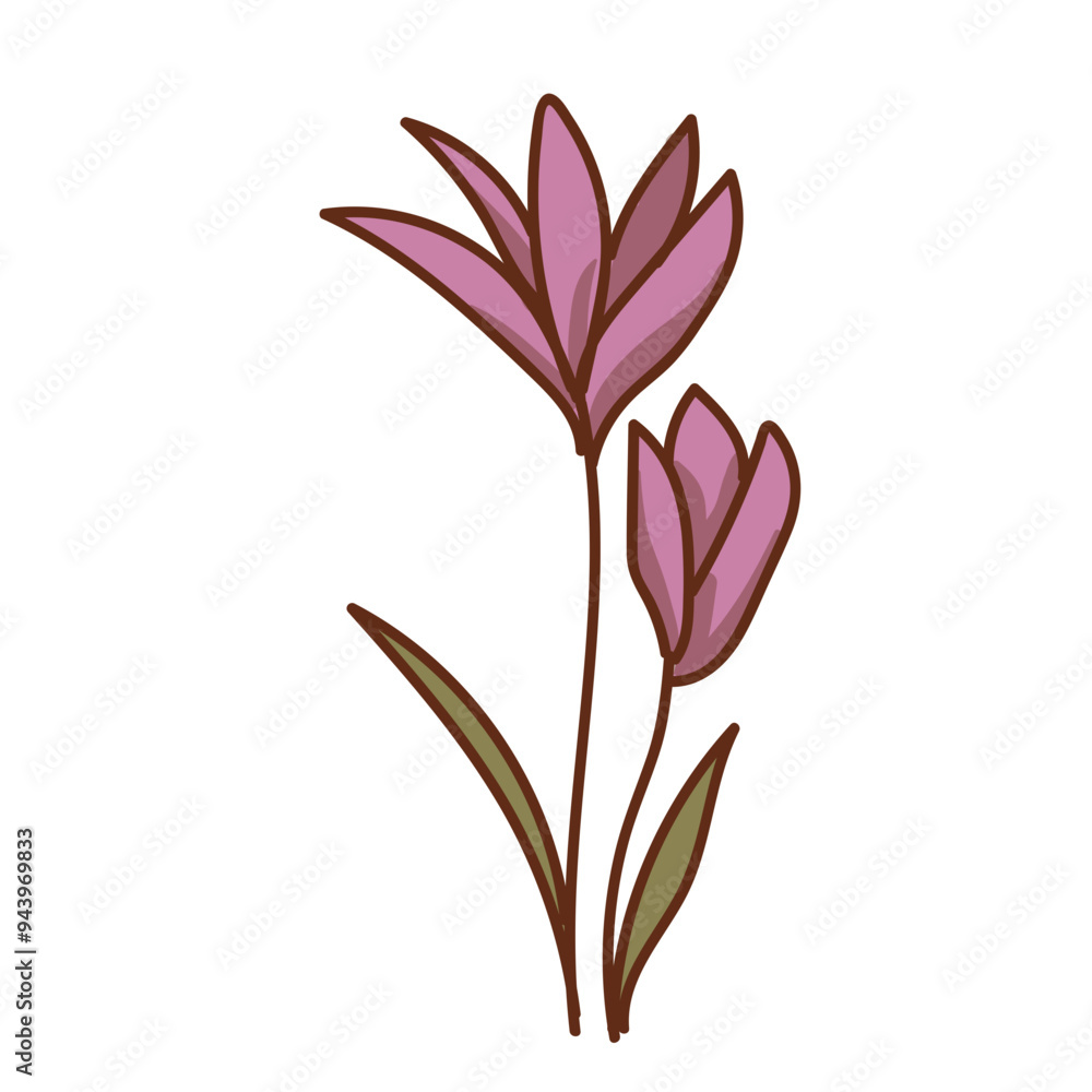 Obraz premium autumn crocus
