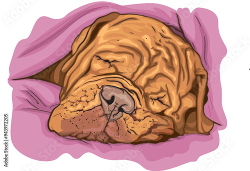 Sleeping dog