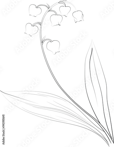 Lily of the Valley flowers illustration coloring page, simplicity, Embellishment, monochrome vector art, Outline print with blossom Lily of the Valley, Lily of the Valley leaves