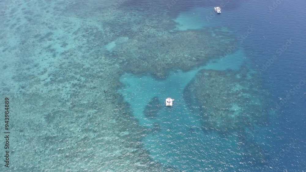 Drone, tropical view and sea from above with coral reef and ocean by an island vacation. Travel, holiday and beach with water in Bali with adventure and outdoor landscape with calm marine environment Drone, tropical view and sea from above with coral reef and ocean by an island vacation. Travel, holiday and beach with water in Bali with adventure and outdoor landscape with calm marine environment