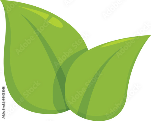 Two overlapping green leaves evoking freshness and natural concepts