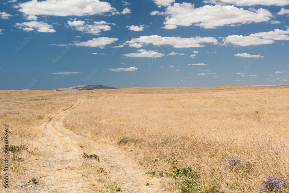 The road to the steppe and the blue sky with clouds The road to the steppe and the blue sky with clouds