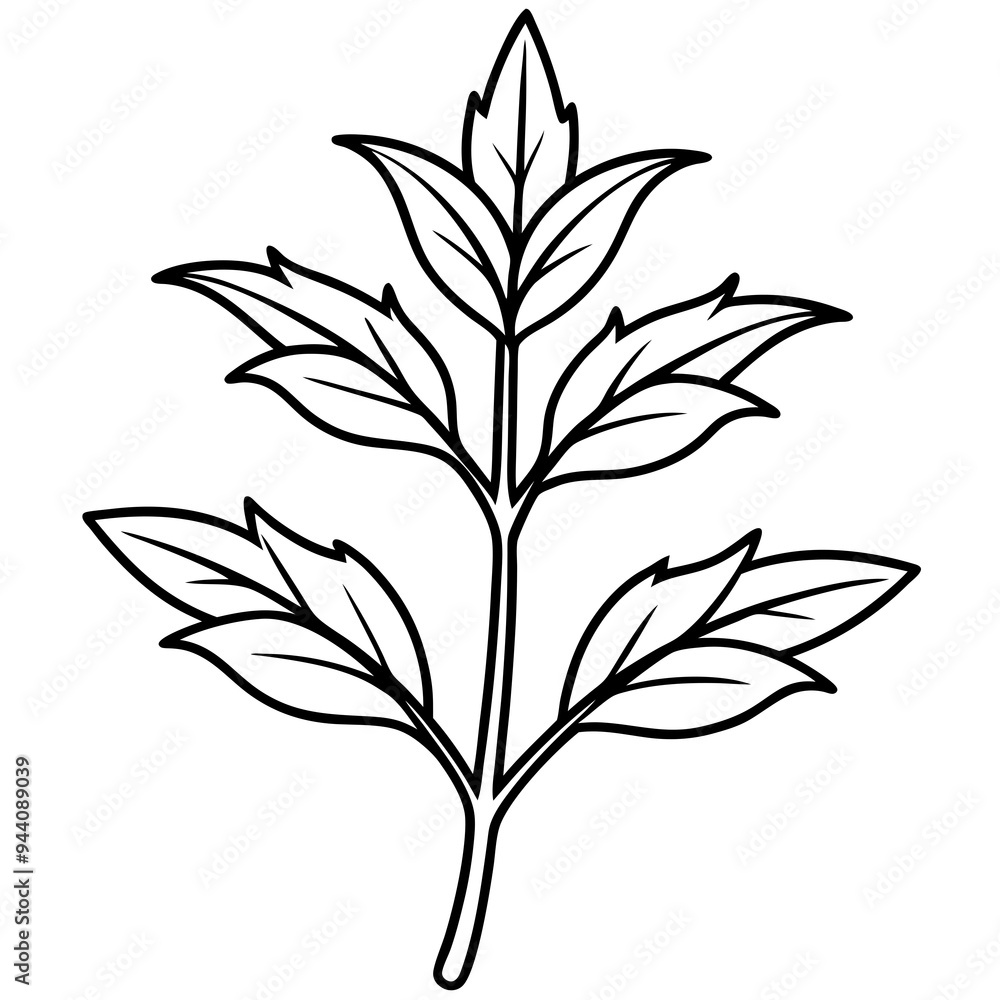 Herbal Plant Art Vector Design Herbal Plant Art Vector Design