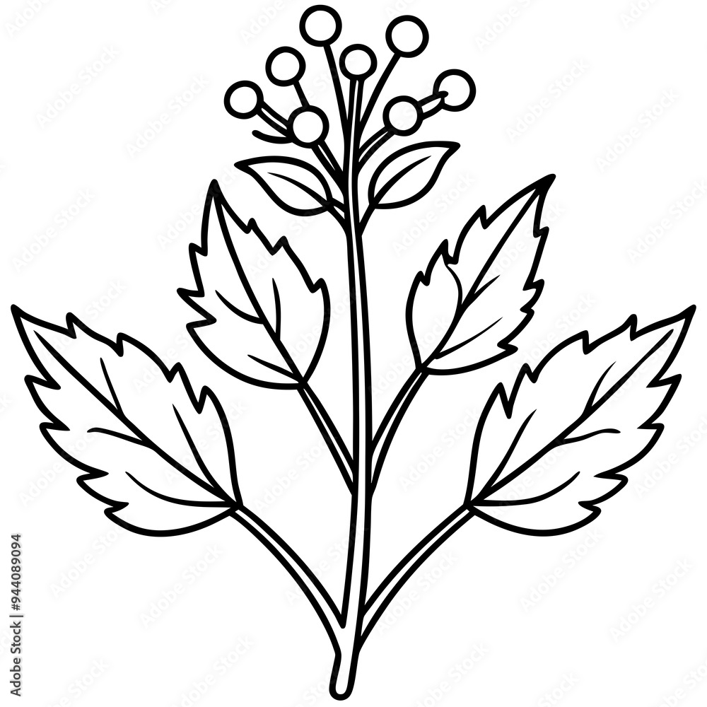 Herbal Plant Art Vector Design Herbal Plant Art Vector Design