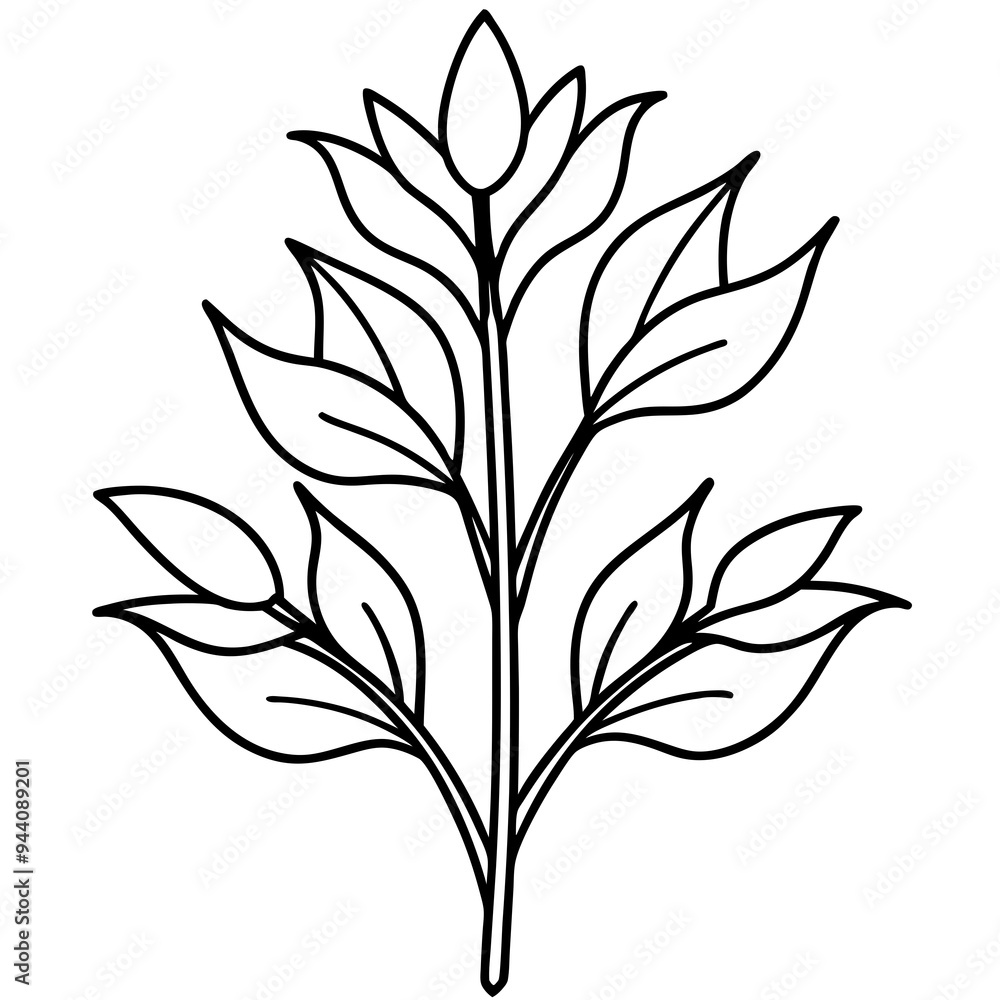 Naklejka premium Herbal Plant Art Vector Design