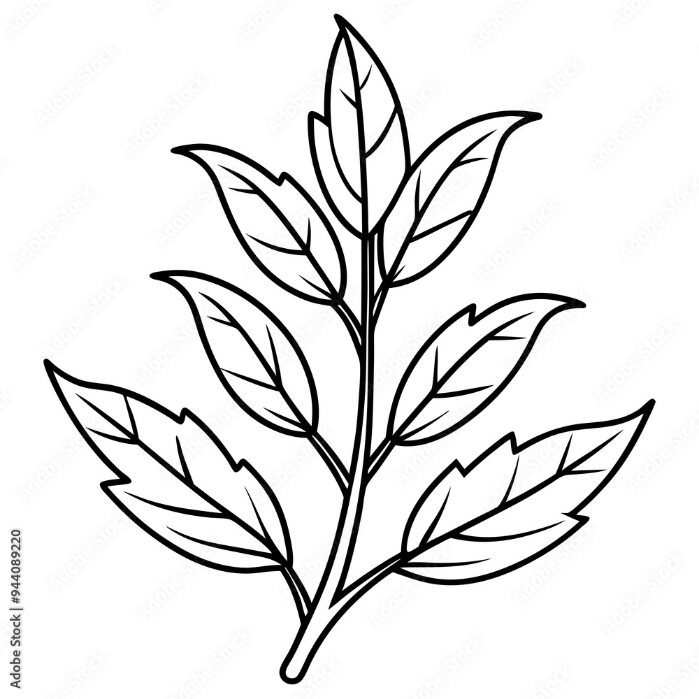 Herbal Plant Art Vector Design Herbal Plant Art Vector Design