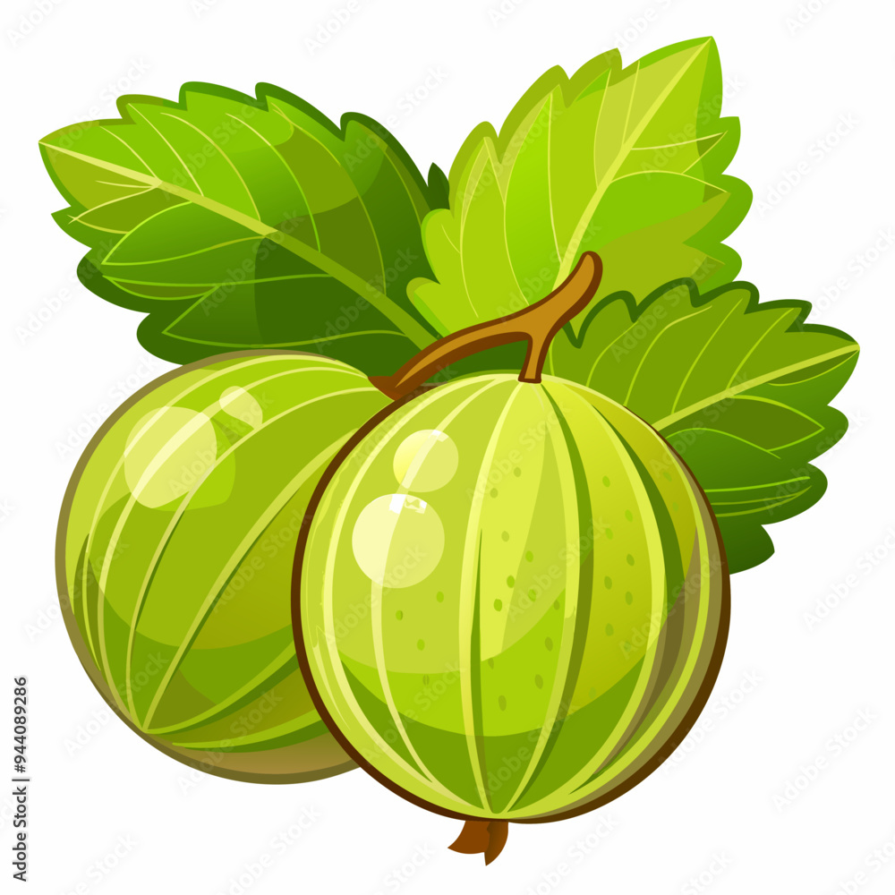 Two Green Gooseberries with Leaves on a Branch Two Green Gooseberries with Leaves on a Branch
