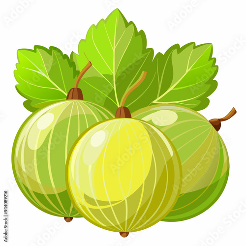 Three Green Gooseberries with Leaves
