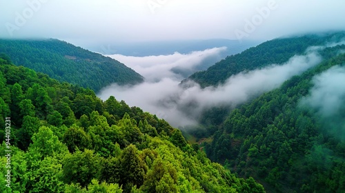 Misty mountain range with green slopes and cloudy sky.