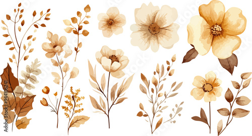 Set of brown and beige watercolor floral elements isolated on transparent background