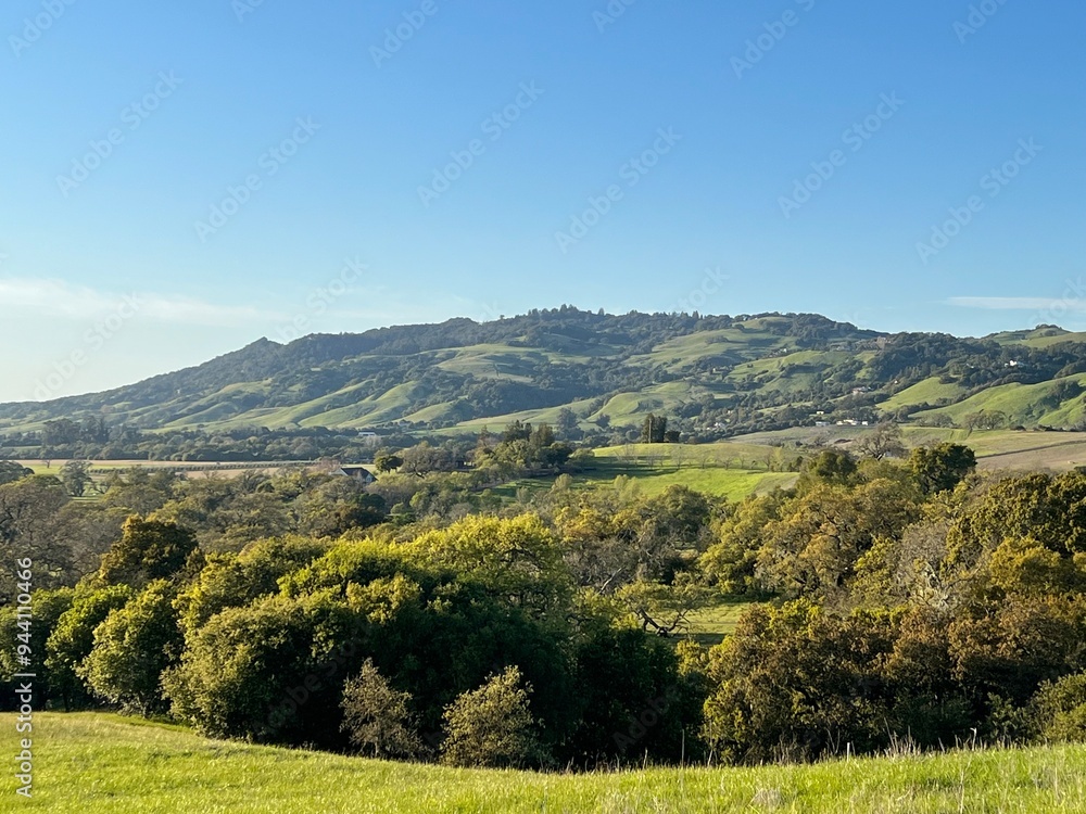 Obraz premium Sonoma County Regional Parks, California