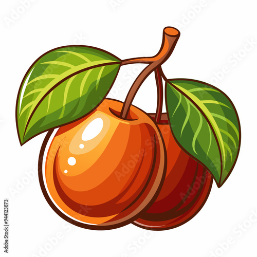 Two Orange Fruits with Green Leaves on a Stem