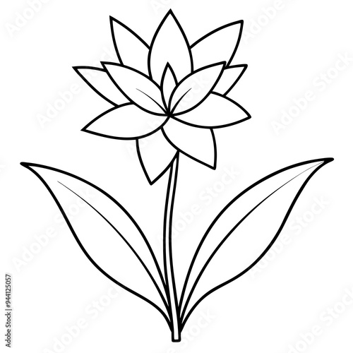 Minimalist Flower line art on White Background - Vector Art