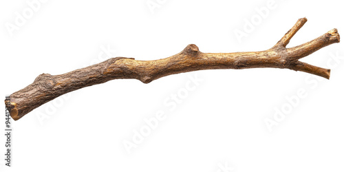 A natural branch featuring multiple twigs, showcasing its rustic texture and unique shape, perfect for creative arrangements. Transparent background PNG