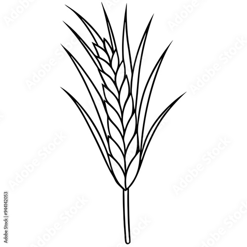 Minimalist Wheat Plant Vector online art White Background