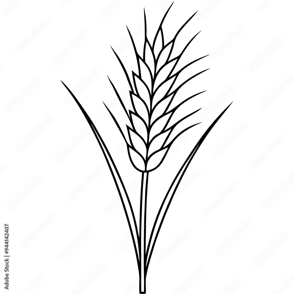 Minimalist Wheat Plant Vector online art White Background Minimalist Wheat Plant Vector online art White Background