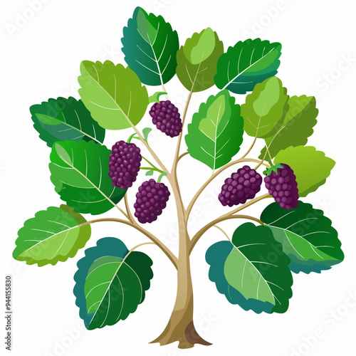 A Tree Branch Laden with Ripe Blackberries