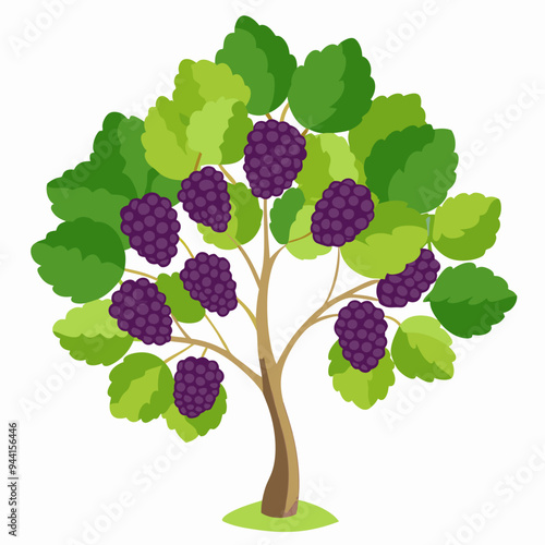 A blackberry bush with ripe fruit and green leaves