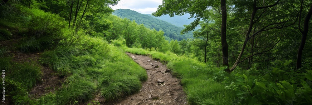 Fototapeta premium A rugged path weaves through lush greenery, leading towards distant mountains under a partly cloudy sky.