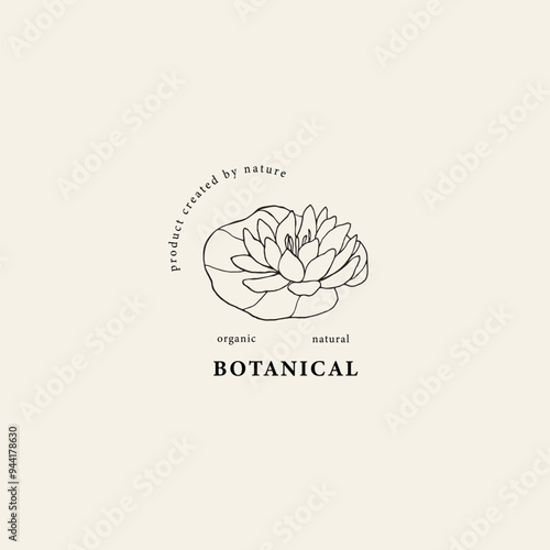 Hand drawn water lily flower illustration