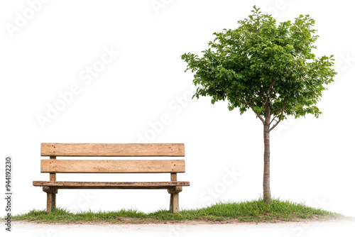 A serene wooden bench beside a lush green tree, perfect for relaxation and enjoying nature in a tranquil setting isolate on transparency background