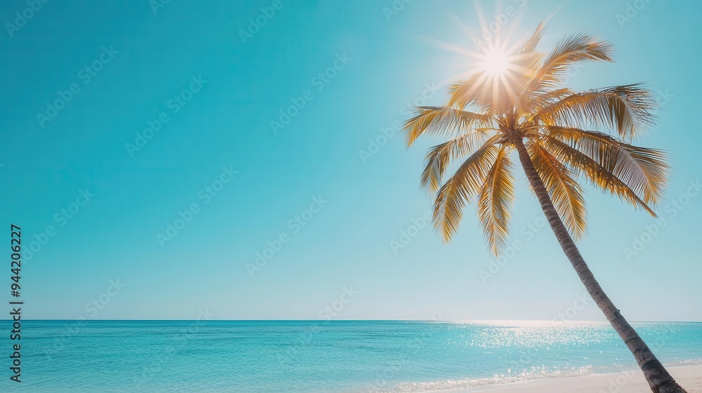 Obraz premium Tropical sun shining brightly over a palm-lined beach, warm weather, summer vibes