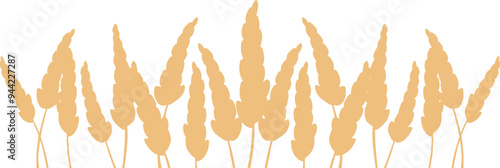 food banner bakery, pastry with wheat, oat, barley, rye, wheat ears stalks, field on yellow background and space for text, copy space