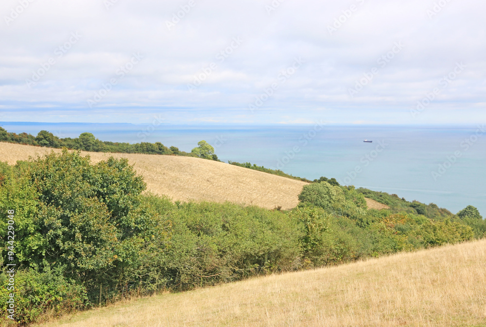 Coast of South Devon above Maidencombe Coast of South Devon above Maidencombe