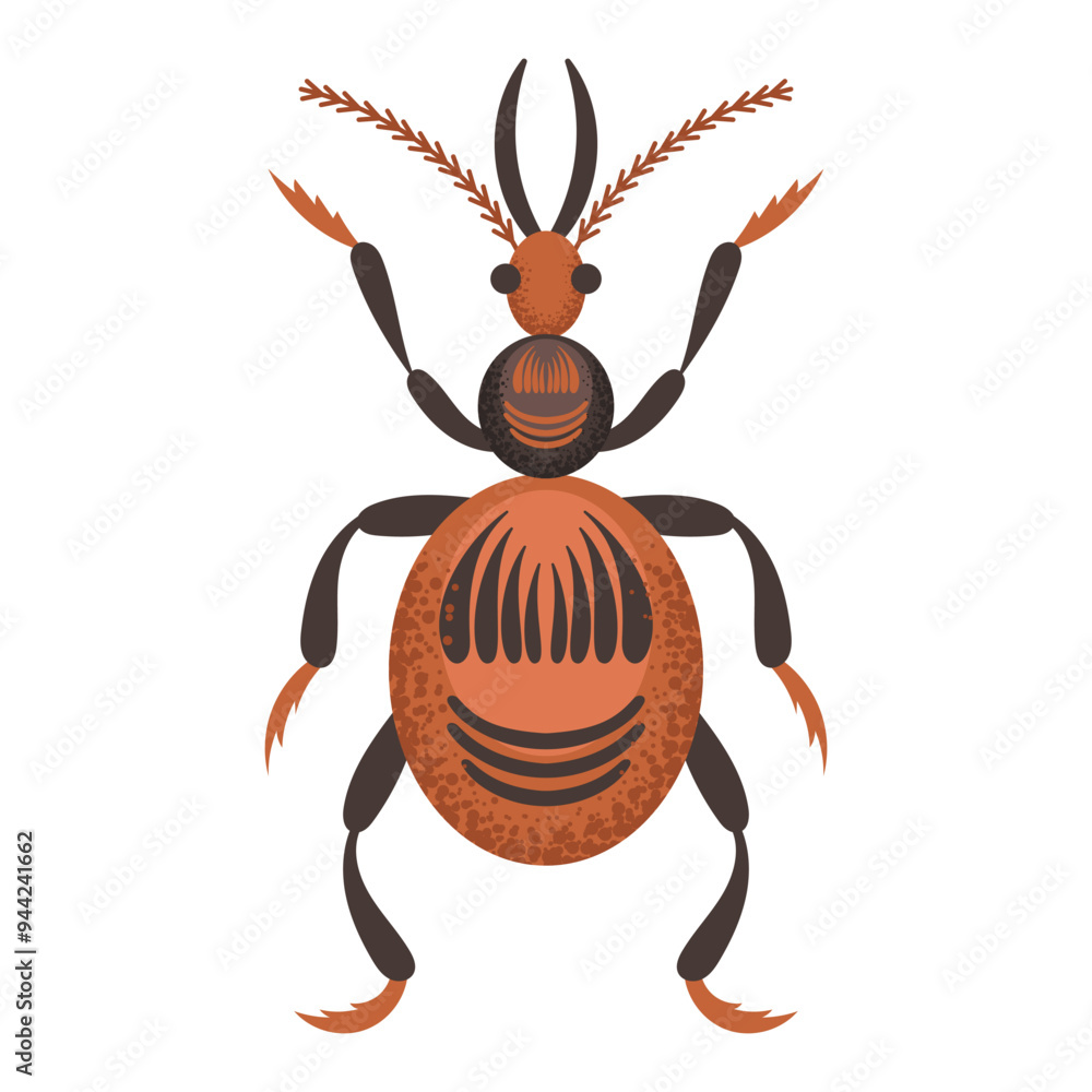Brown bug, beetle. Colorful insect. Nature and biodiversity insect spece. Beetle vector flat illustration. Brown bug, beetle. Colorful insect. Nature and biodiversity insect spece. Beetle vector flat illustration.