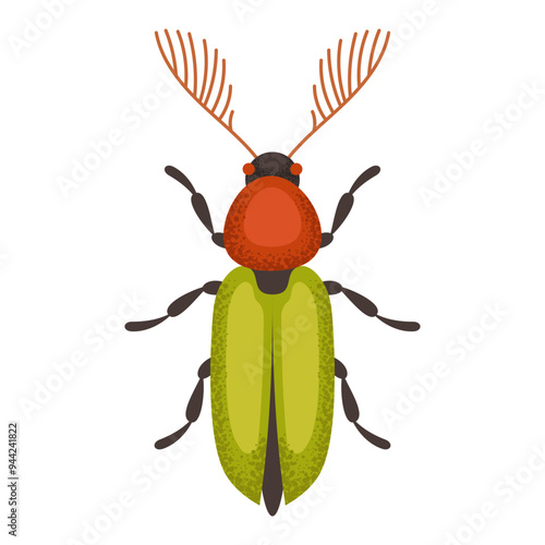 Green and orange beetle, bug. Colorful insect. Nature and biodiversity insect spece. Beetle vector flat illustration. photo