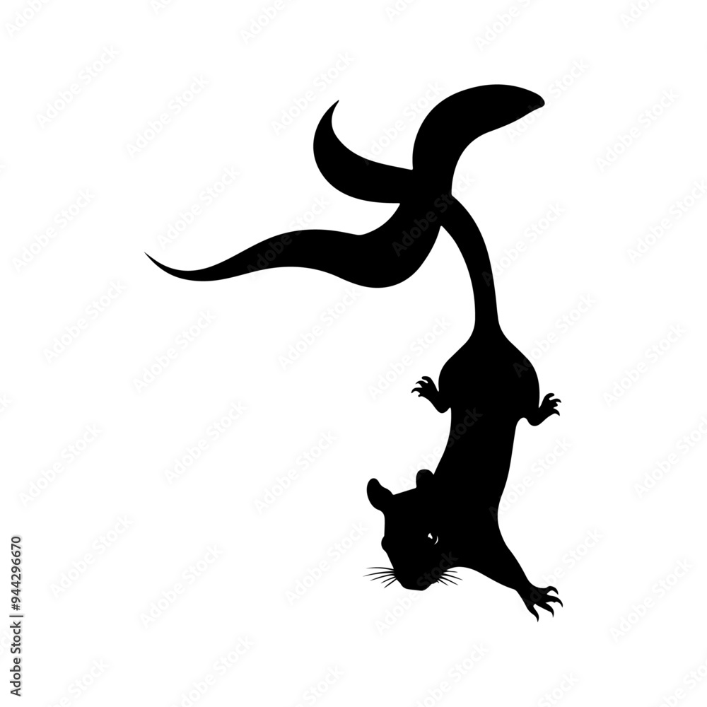 Flying squirrel vector silhouette isolated white background Flying squirrel vector silhouette isolated white background