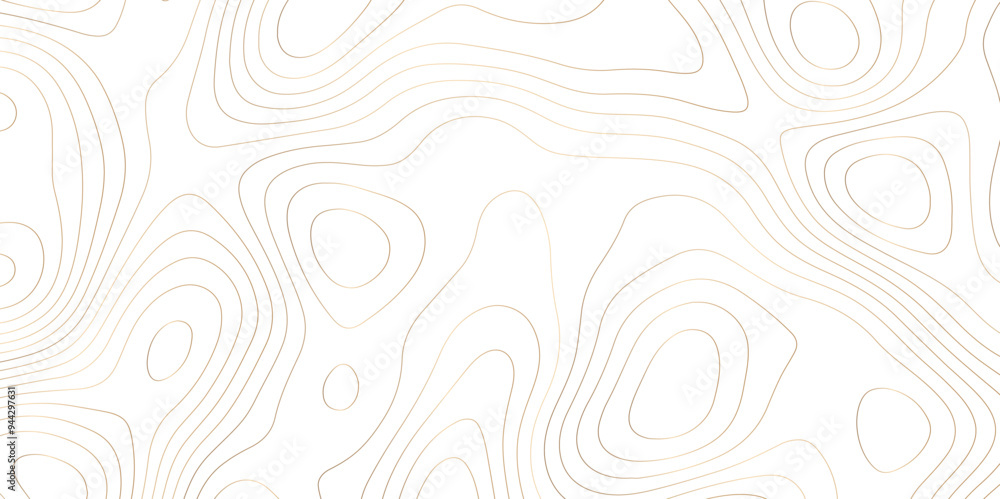 Textural Topology: Exploring Abstract Contours through Vector Mapping Textural Topology: Exploring Abstract Contours through Vector Mapping