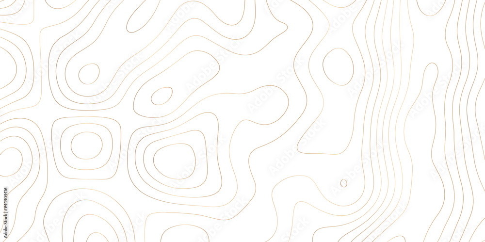 Mapping the Abstract: Vector Textures and Contours in Topological Art Mapping the Abstract: Vector Textures and Contours in Topological Art