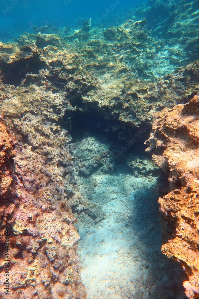 Obraz premium Shallow sea, rocky seascape in the blue water. Seabed with stones, underwater photography from scuba diving. Undersea vivid landscape, adventure scuba diving.