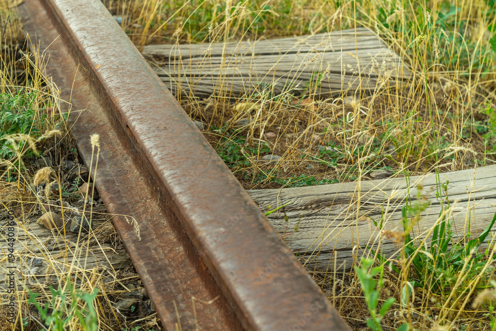 Fototapeta premium Old abandoned, unused railway line is falling into oblivion. Due to lack of maintenance, driving, the embankment is overgrown with wild grass, the sleepers are turning into dust, rails are corroding.