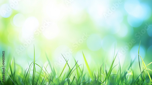spring background with grass