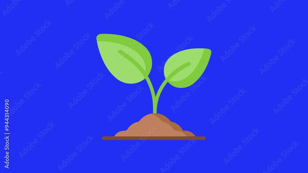 Animation of a plant growing, perfect for educational content, nature documentaries, and garden-themed presentations. Ideal for illustrating concepts of growth, botany, and environmental science. Animation of a plant growing, perfect for educational content, nature documentaries, and garden-themed presentations. Ideal for illustrating concepts of growth, botany, and environmental science.