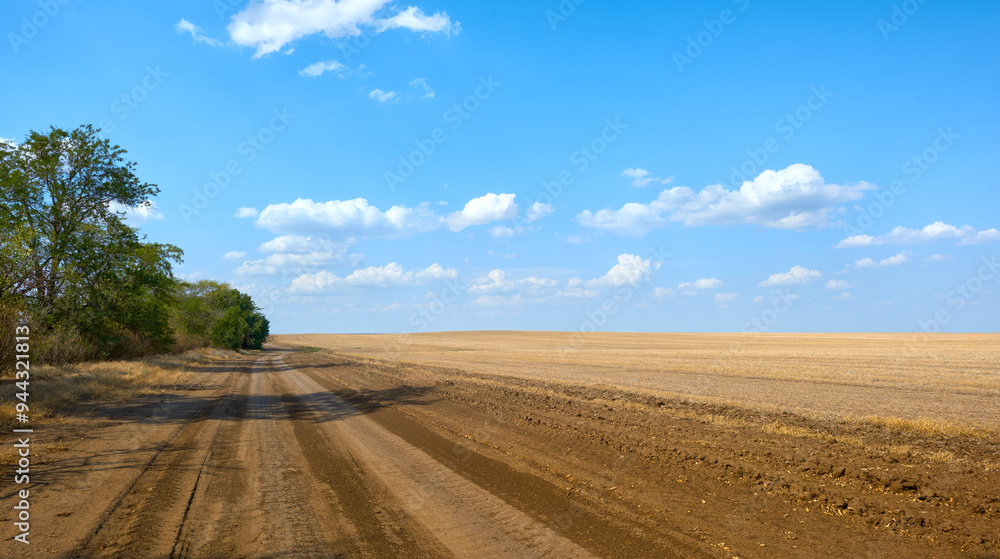 A dirt road along the edge of a field on a clear summer day. A bare field after harvesting. A dirt road along the edge of a field on a clear summer day. A bare field after harvesting.