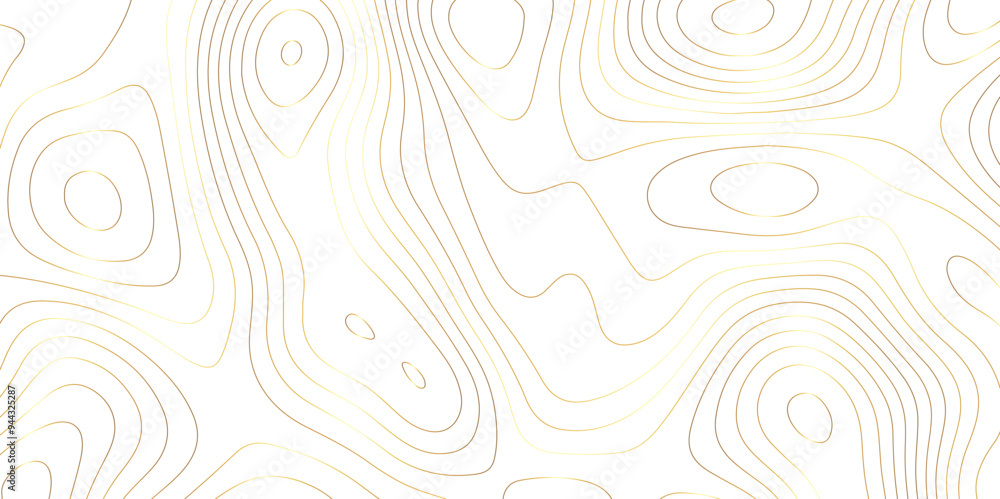 Vectorized Topology: Abstract Representations of Contours and Map Textures Vectorized Topology: Abstract Representations of Contours and Map Textures