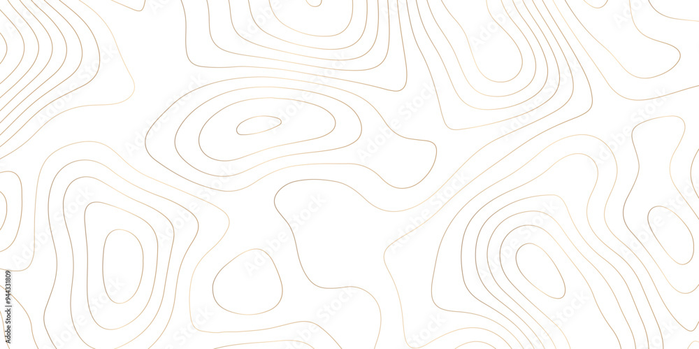 Mapping Texture: Exploring Contour and Vector Art through Abstract Topology Mapping Texture: Exploring Contour and Vector Art through Abstract Topology
