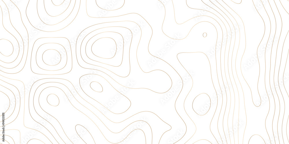 Mapping Texture: Exploring Contour and Vector Art through Abstract Topology Mapping Texture: Exploring Contour and Vector Art through Abstract Topology