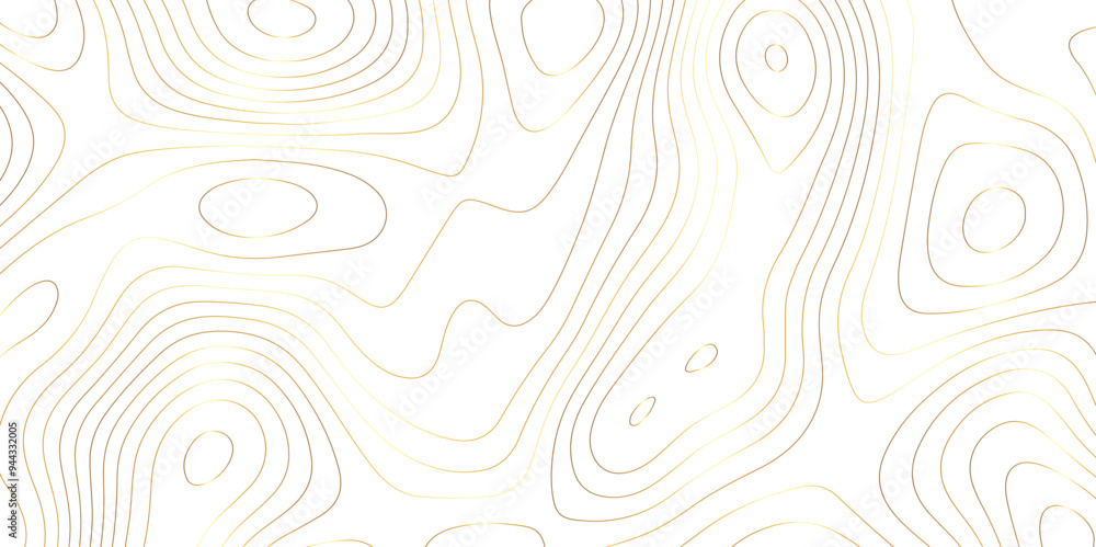 Abstract Contours: The Fusion of Topology and Topography in Vector Mapping Abstract Contours: The Fusion of Topology and Topography in Vector Mapping