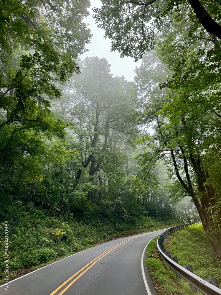 Obraz premium Driving through the woods at a in the Pisgah National Forest near Marion, North Carolina USA