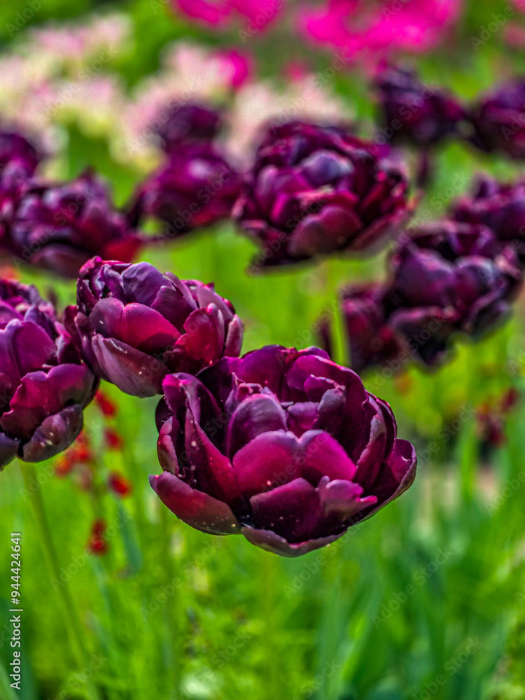 custom made wallpaper toronto digitalflowers in the garden