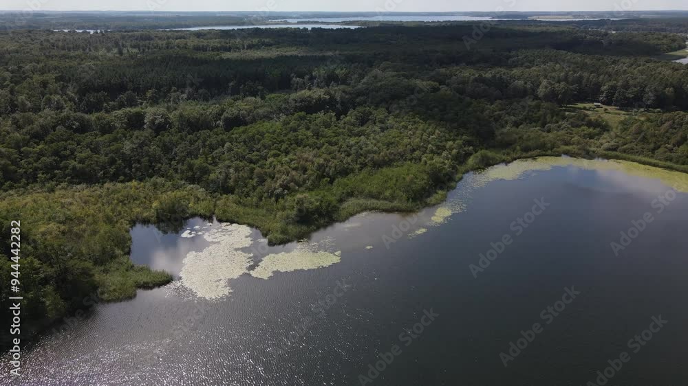Fly over green nature and lake at the Kölpingsee area which is close located to Jabel Fly over green nature and lake at the Kölpingsee area which is close located to Jabel