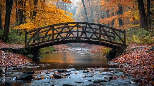 Charming wooden bridge over a stream in an autumn forest with vibrant orange ...