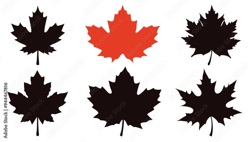 Maple leaves set , Autumn Leaves silhouette set vector illustration Maple leaves set , Autumn Leaves silhouette set vector illustration